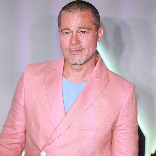Brad Pitt Looks So Different With New Hair and Grey Sideburns